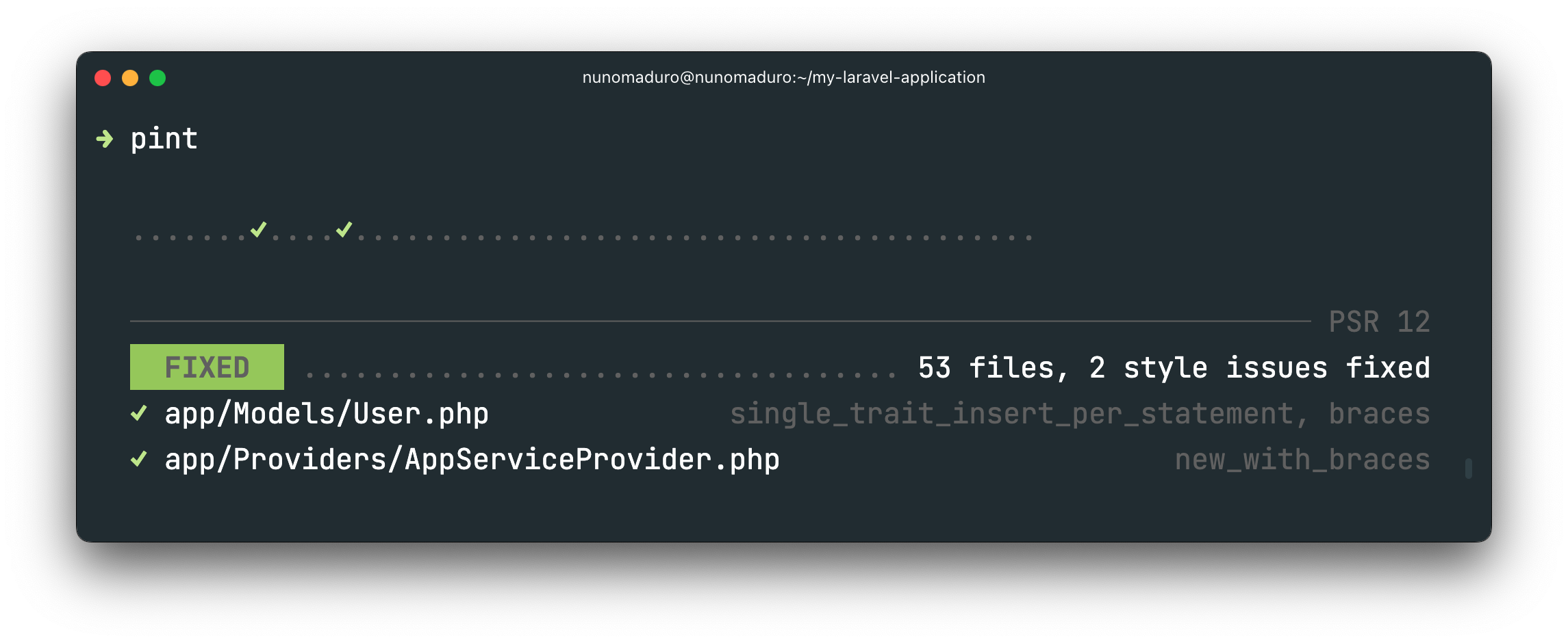 Laravel Pint screenshot 1